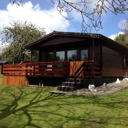 Bluebell Lodge 4 With Hot Tub, Newton Stewart Bagian luar foto